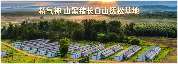 1762132485118904.png gRocPsrBRtiIhl2NeLAe8w.png